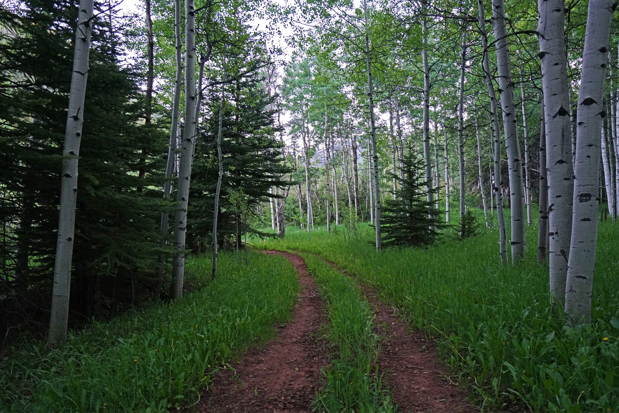 Snowmass Falls 049