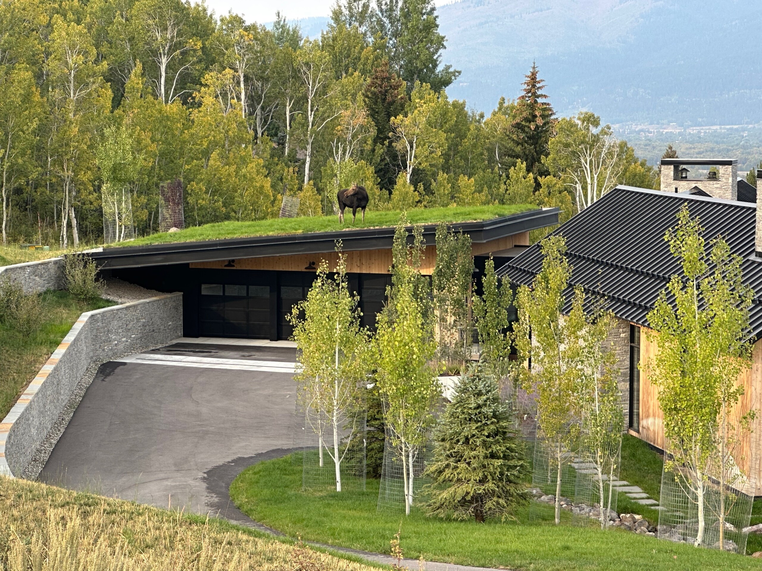 Trader Ridge Photo By New West Building Company