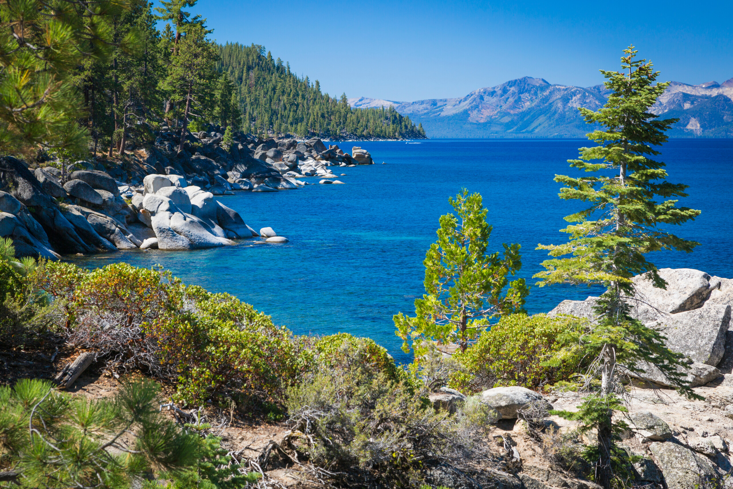 Beautiful Clear Water Shoreline Of Lake Tahoe.